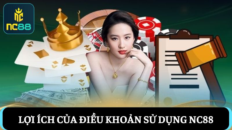 Điều khoản sử dụng