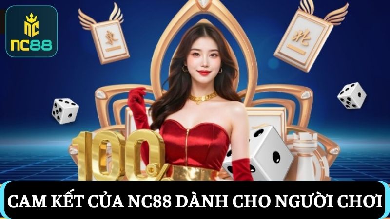 giới thiệu NC88 về các cam kết
