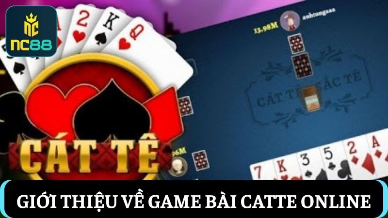bài Catte online