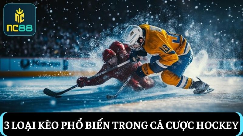 Những loại kèo cá cược Hockey