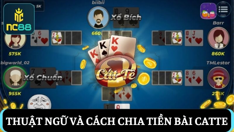 Thuật ngữ và cách chia tiền bài Catte online